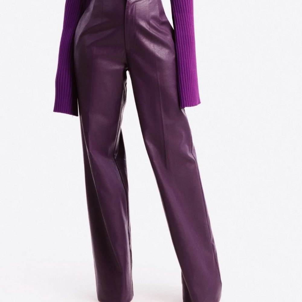 Hanifa Vegan Leather Pants (Purple)
